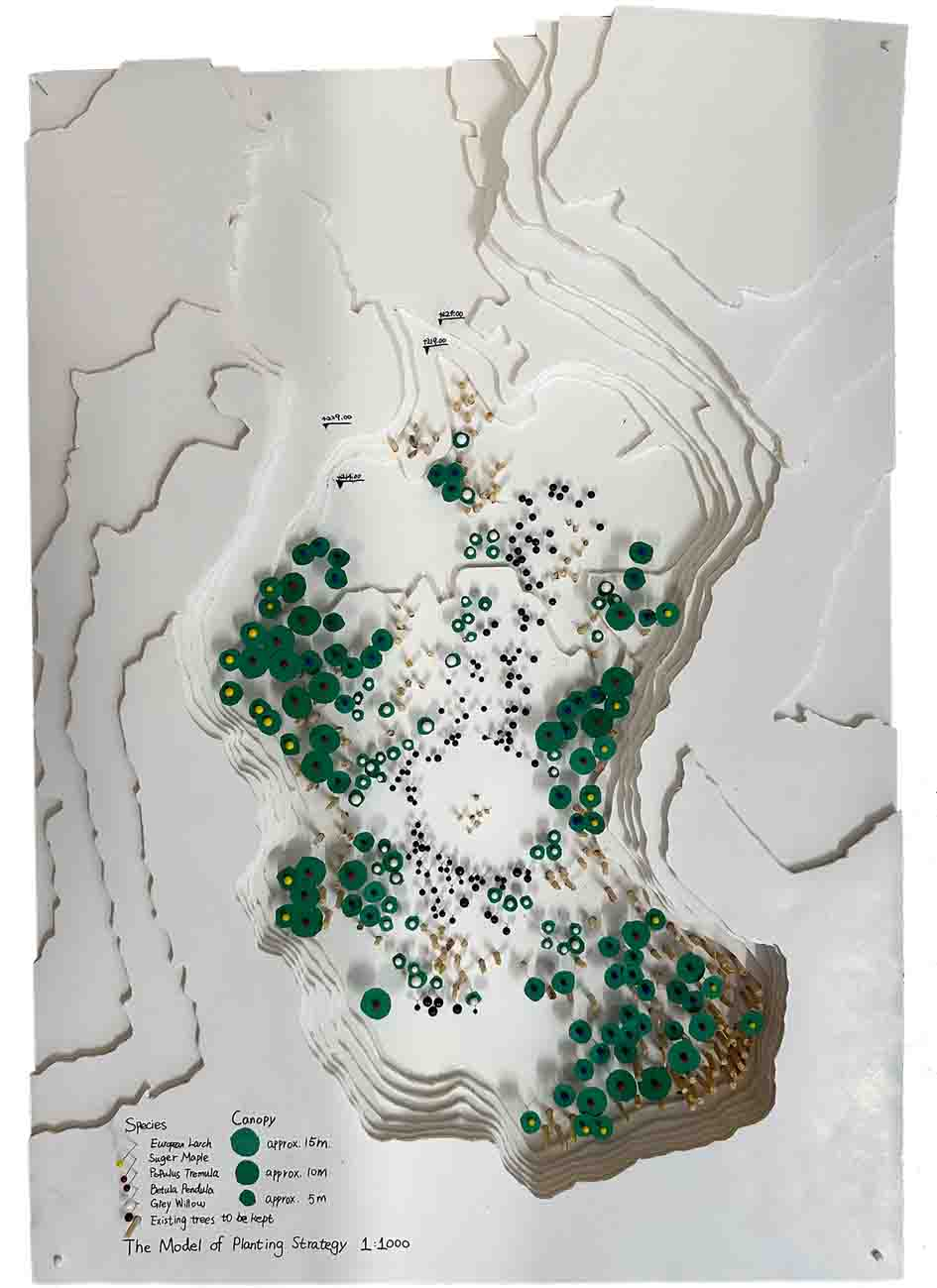 Step 3 - Low density open-space cultivation