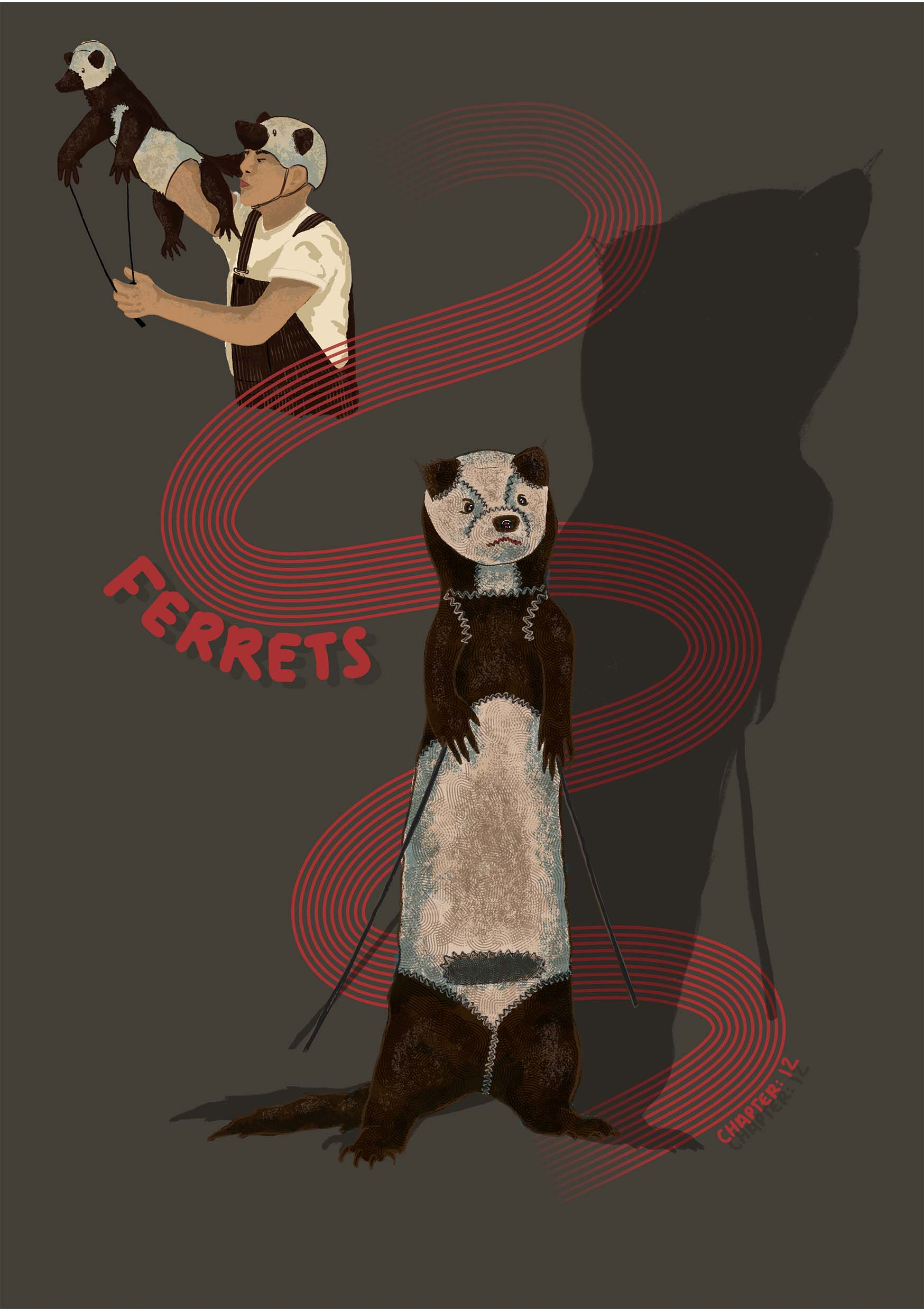 Final Illustration of Ferrets
