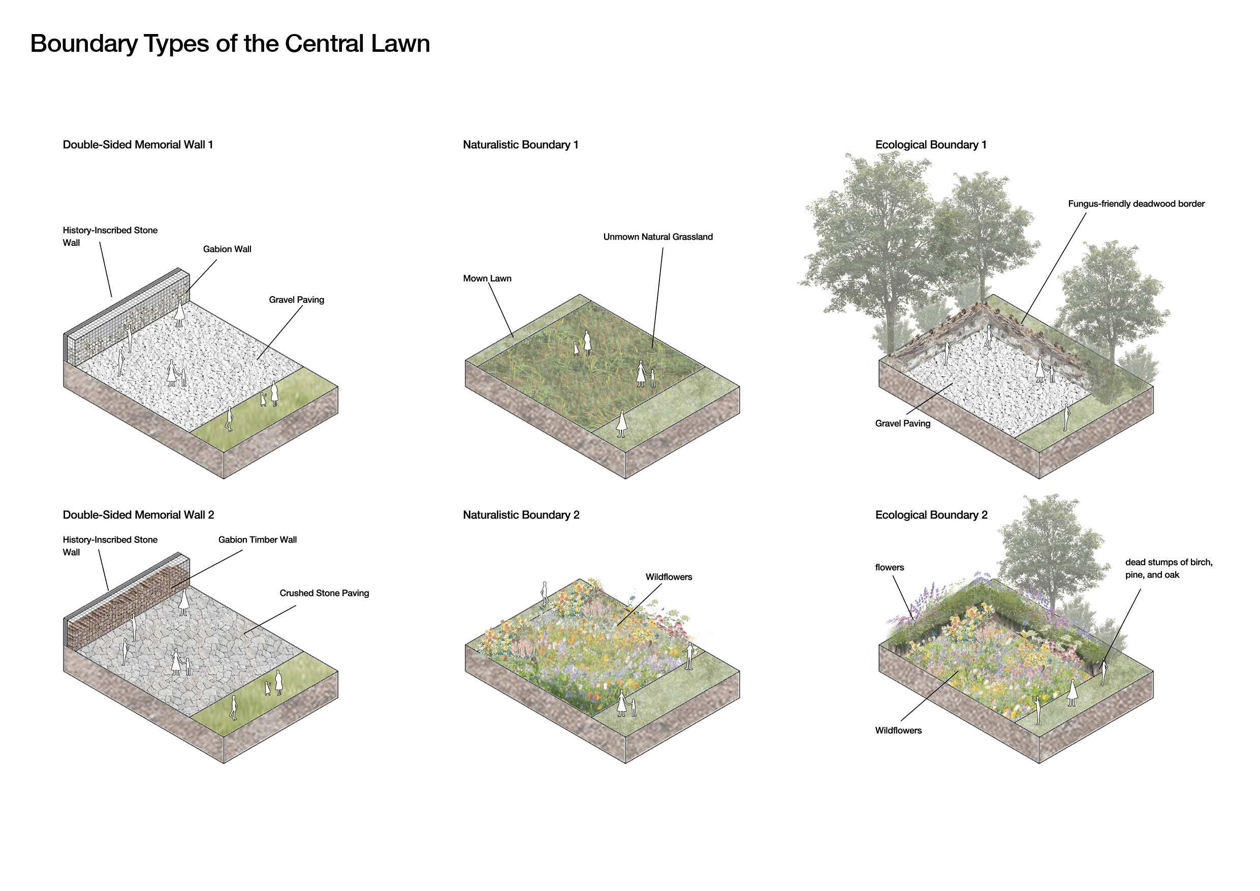 Boundary Types of the Central Lawn
