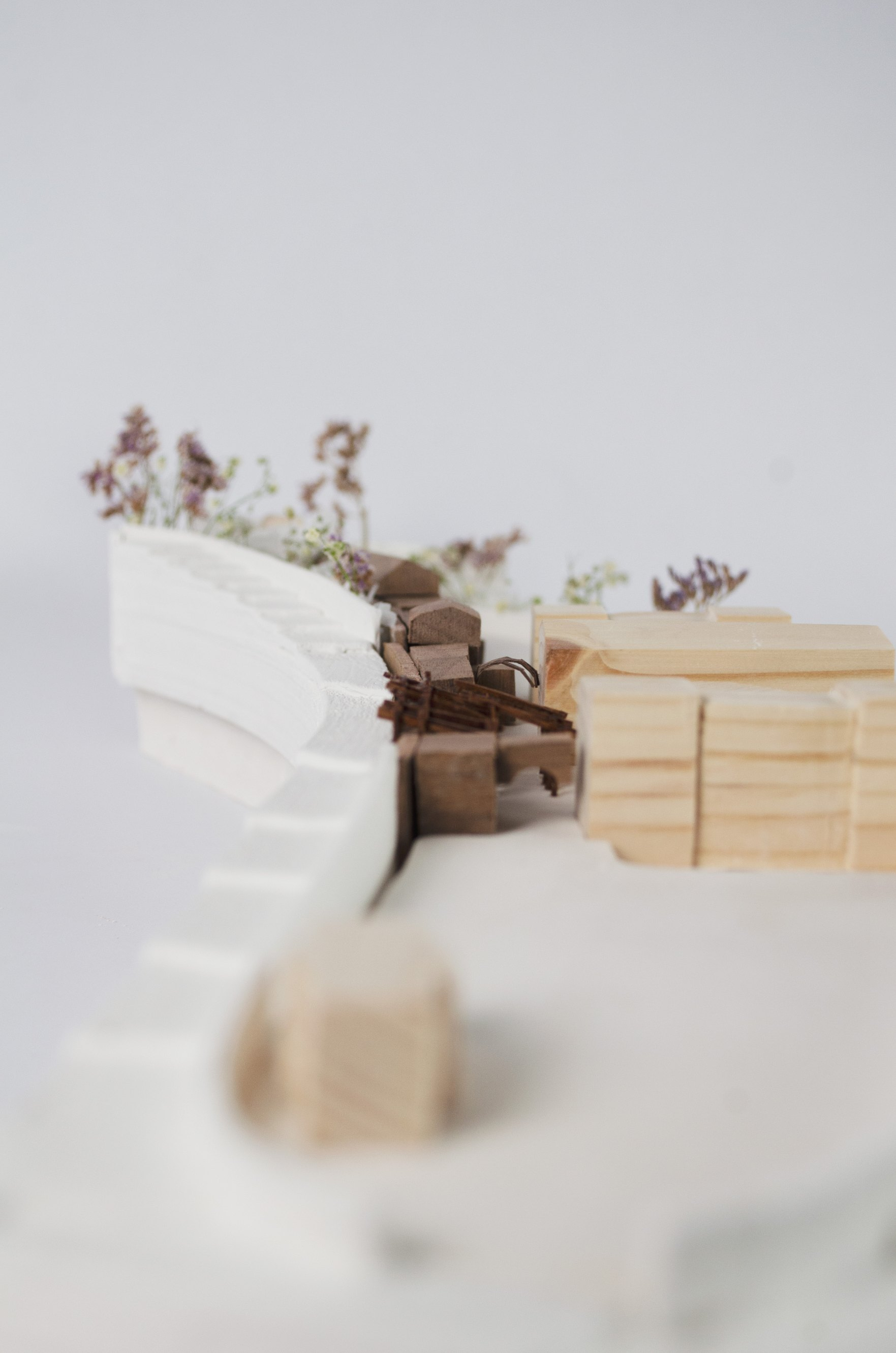 Site Model | 1:500