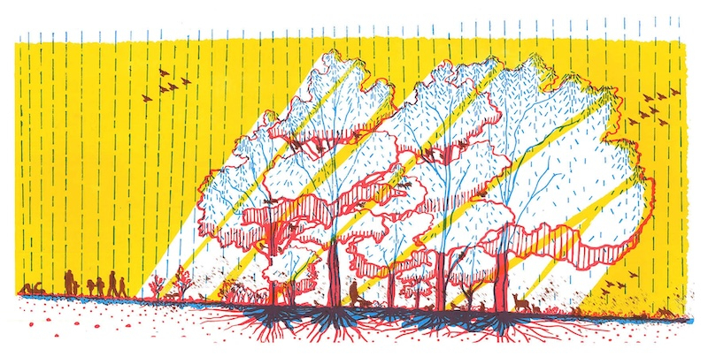 Summer woodland island screen print