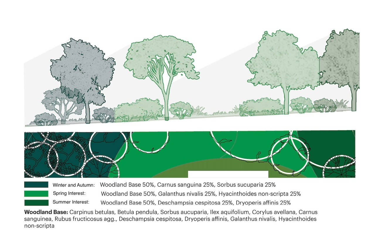 Detailed section of woodland islands