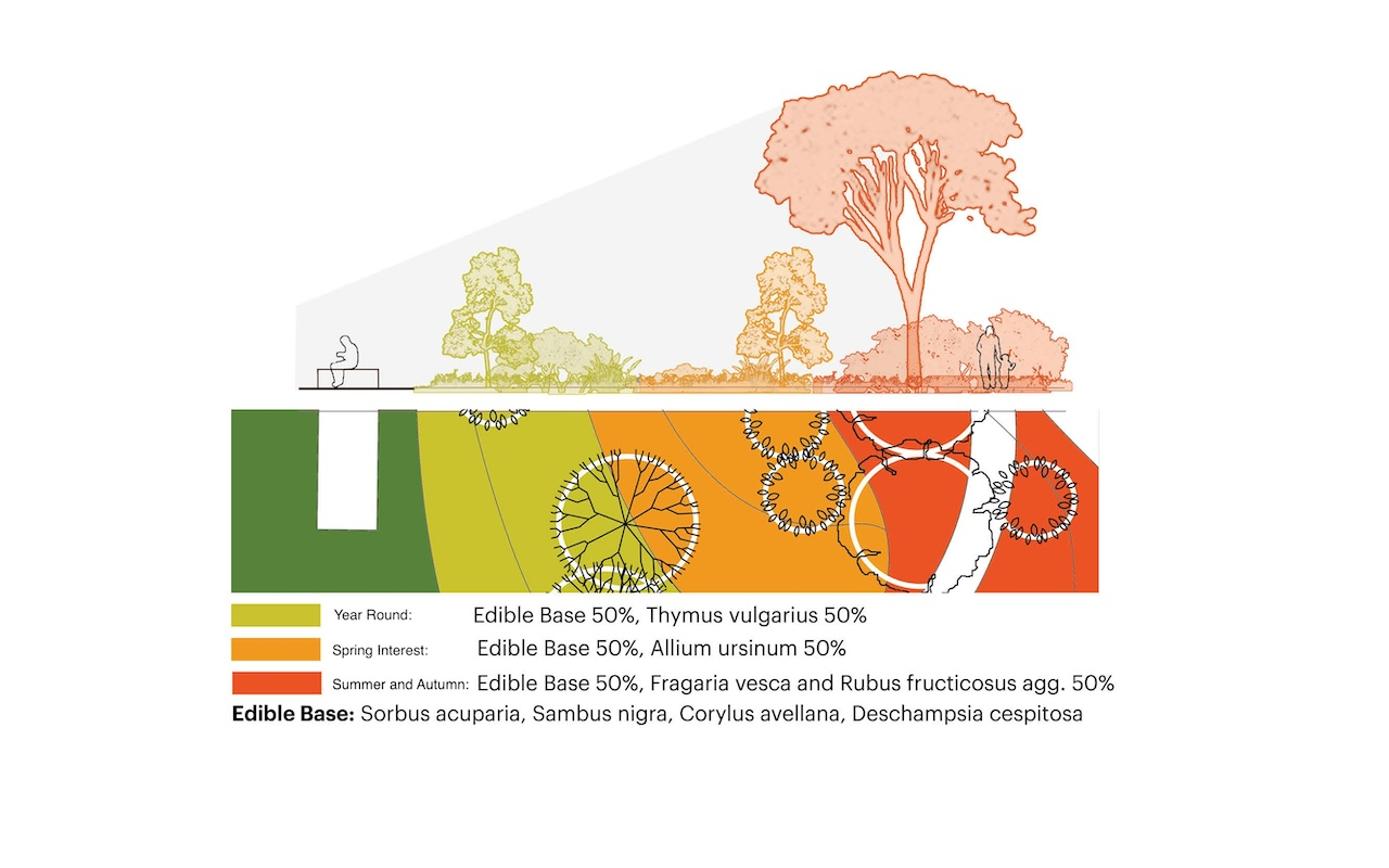Detailed section of edible islands