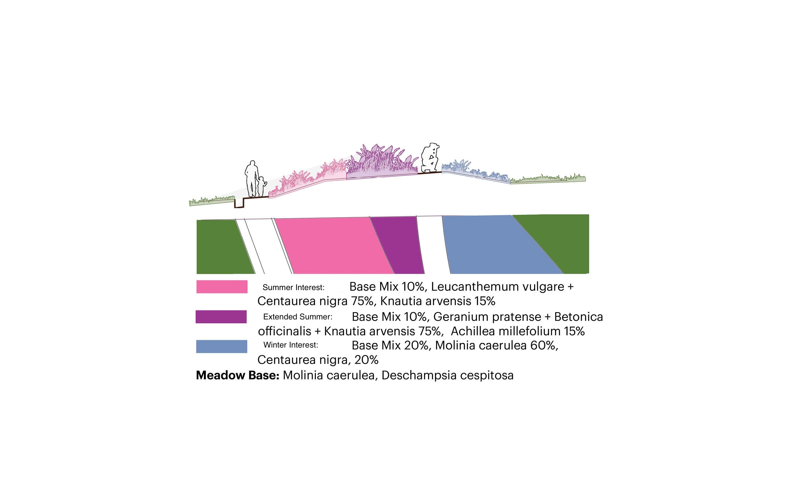 Detailed section of meadow berm