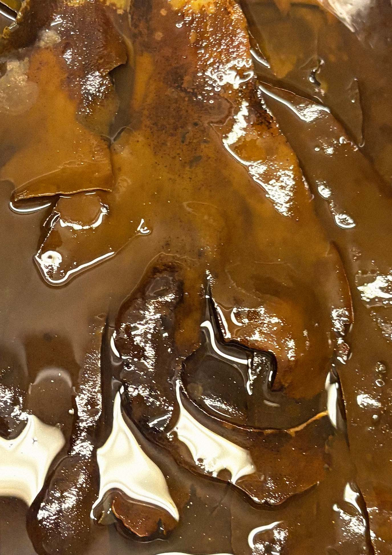 Preserving Seaweed