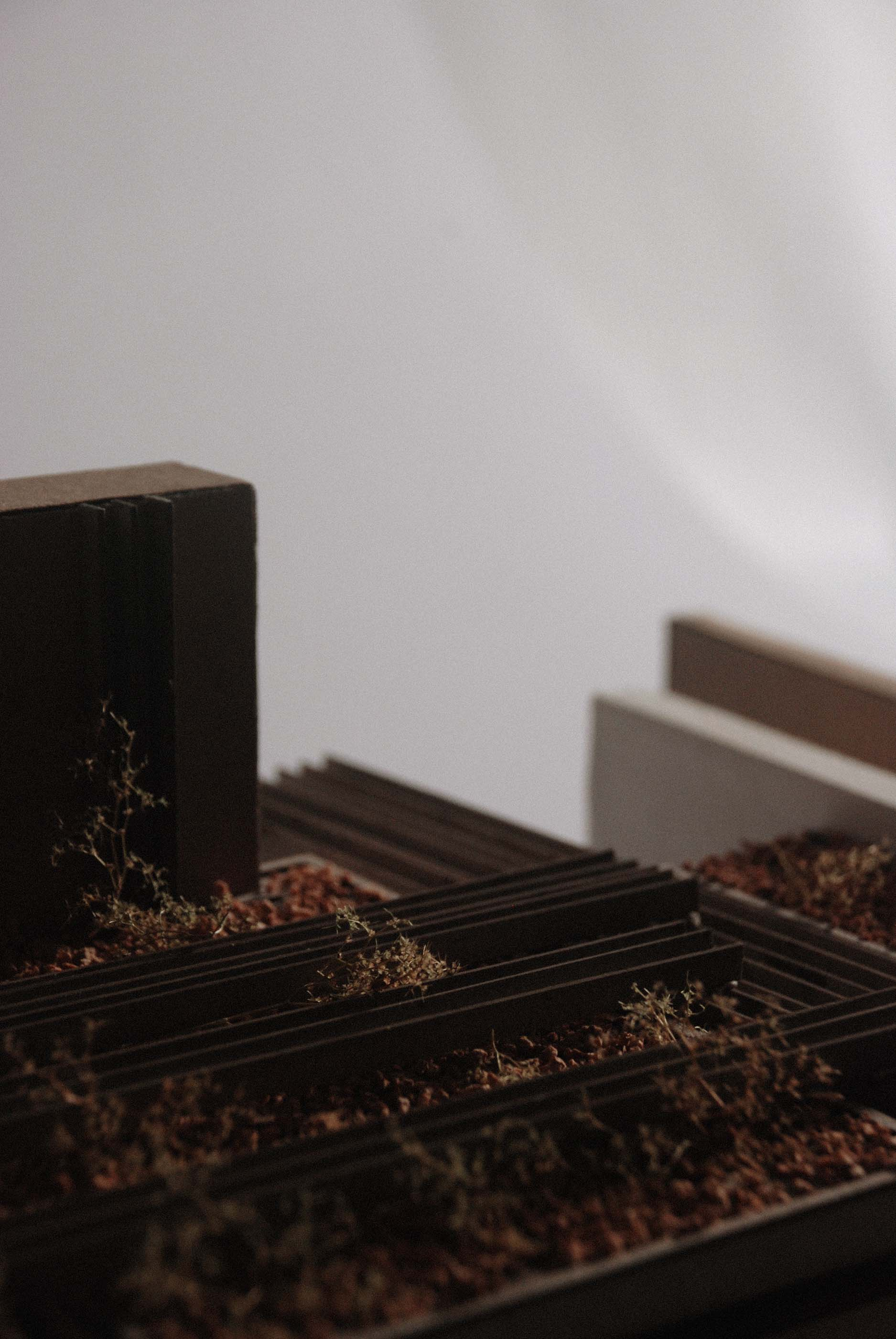 The Green Roof
