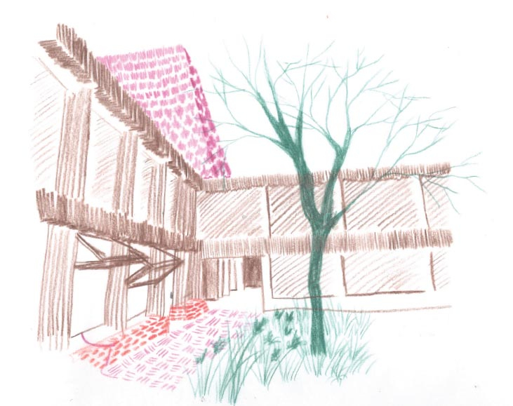 courtyard view 1