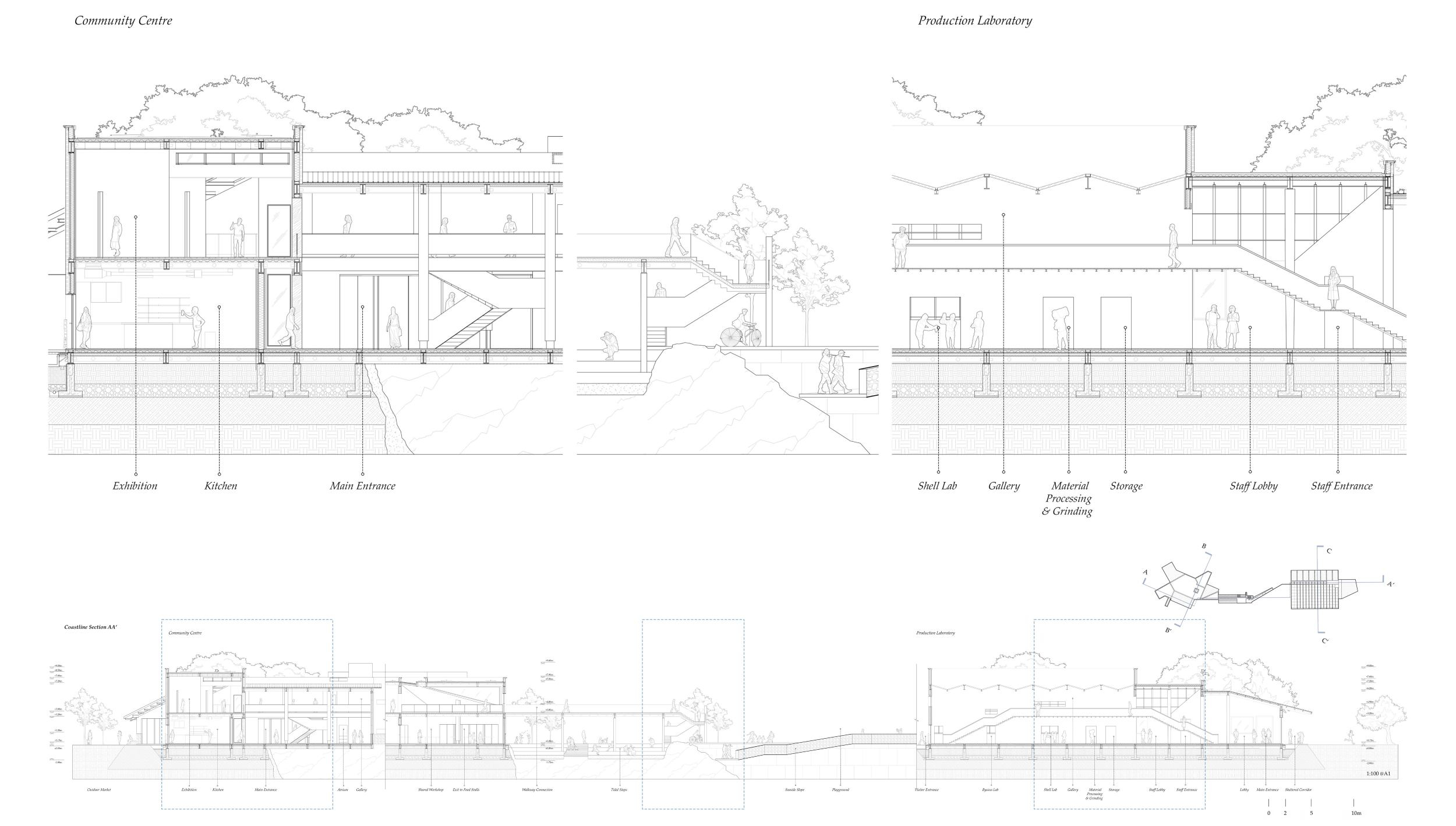 A Sectional Sequence of Coastal Life