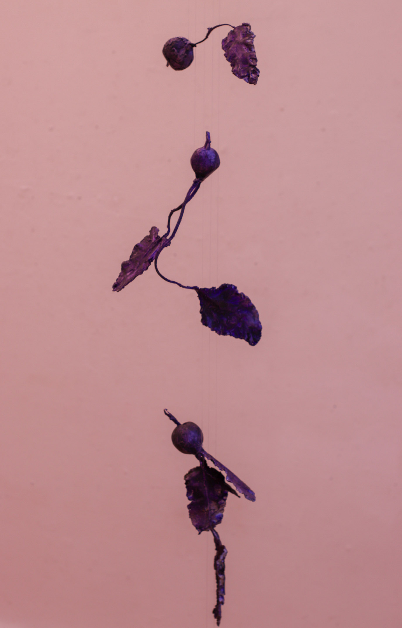 Purple cast sculptures of beetroots.