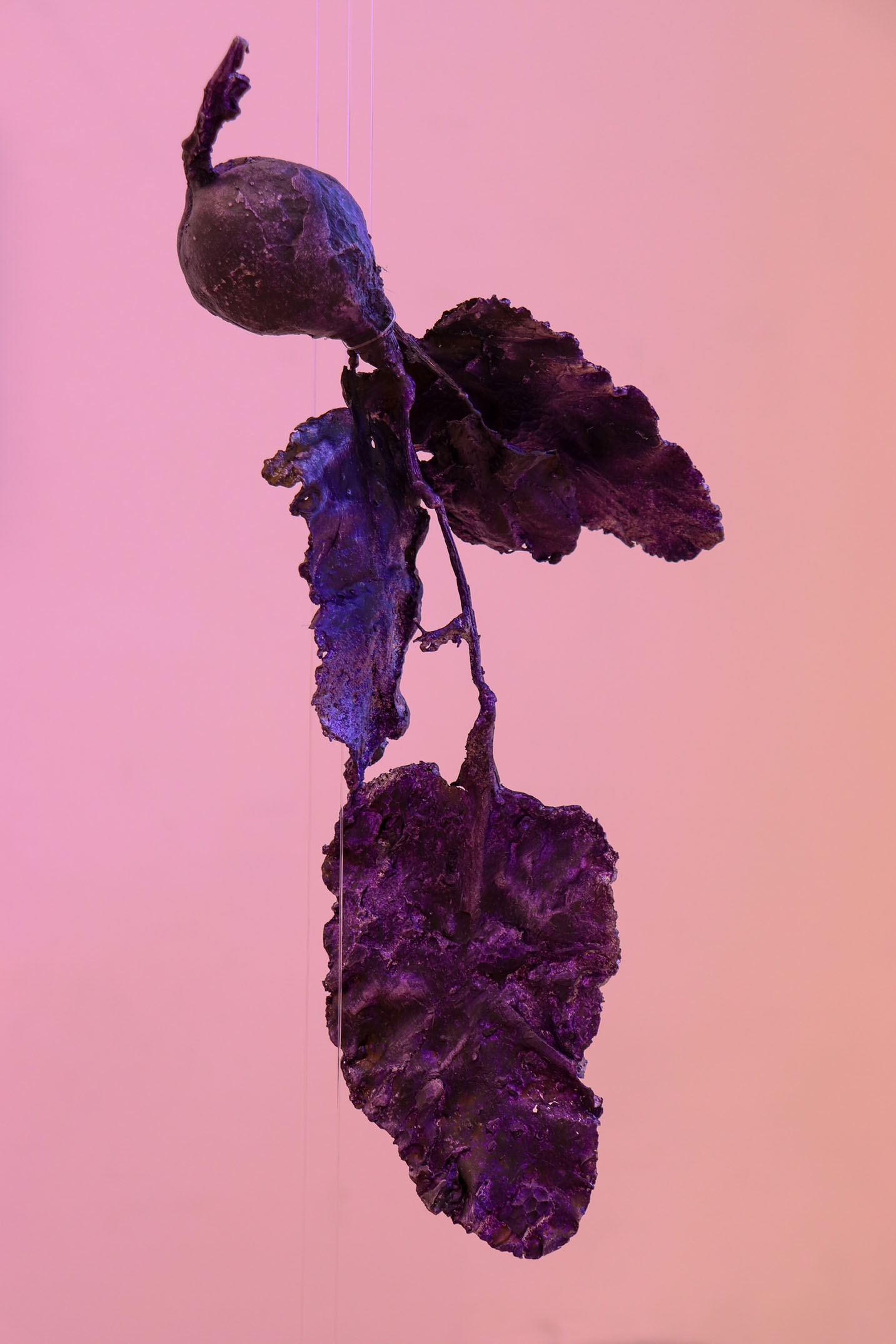 Purple cast sculpture of a beetroot.