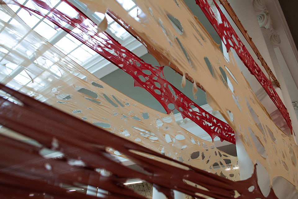 Installation Image