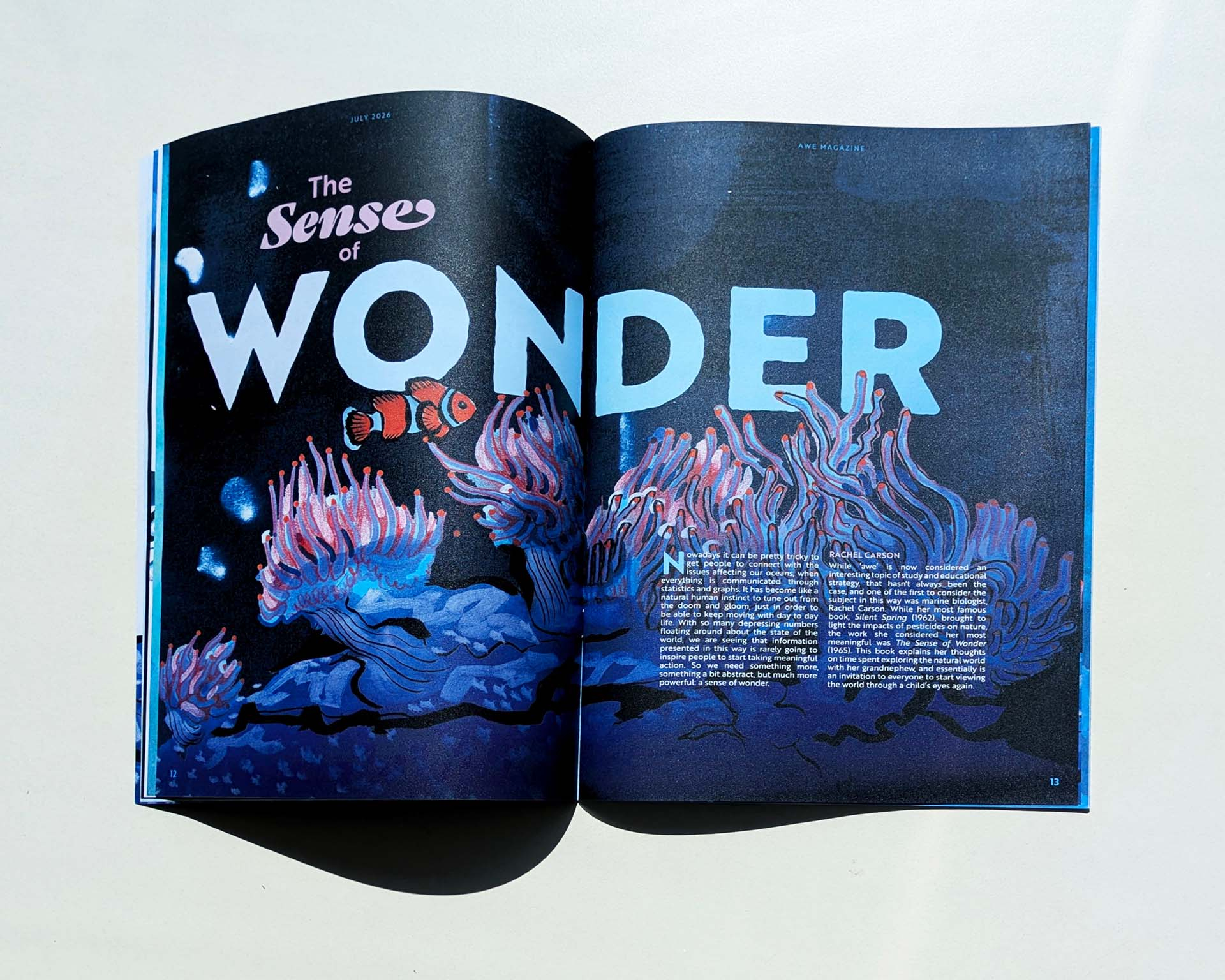 Close-up of sense of wonder article