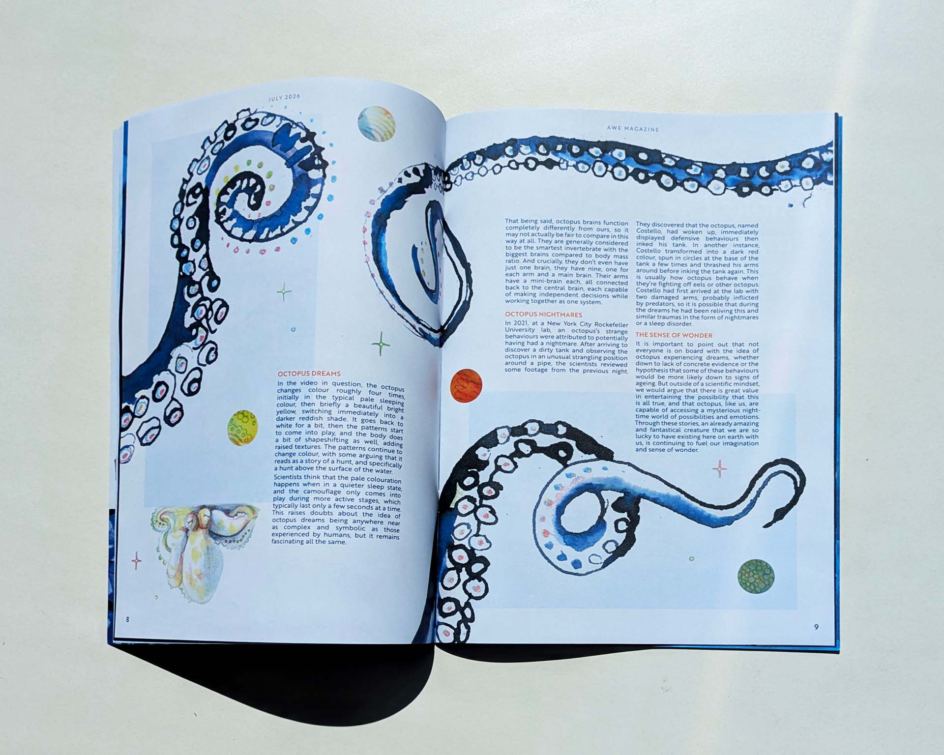 Close-up of octopus article
