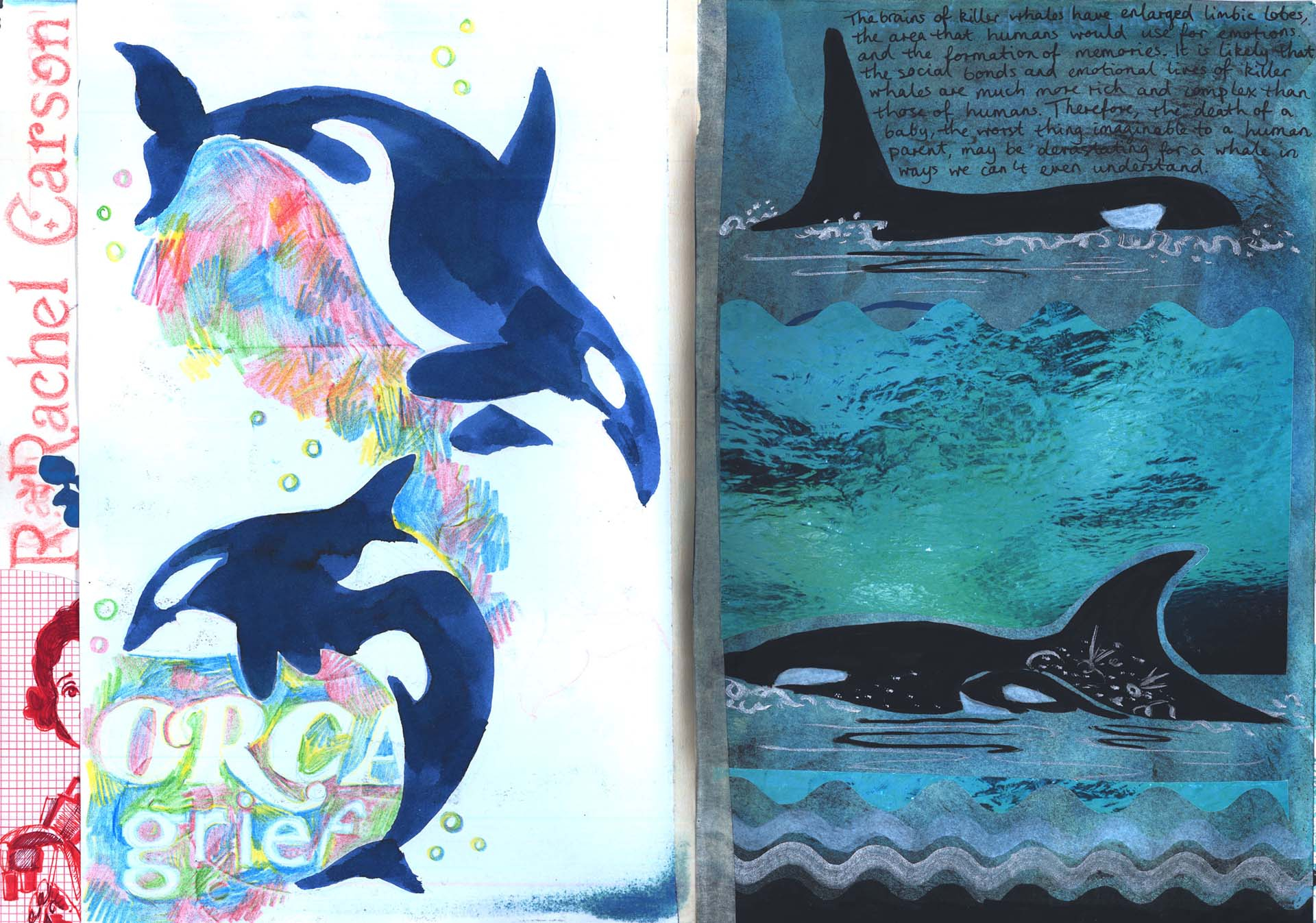 Sketchbook pages