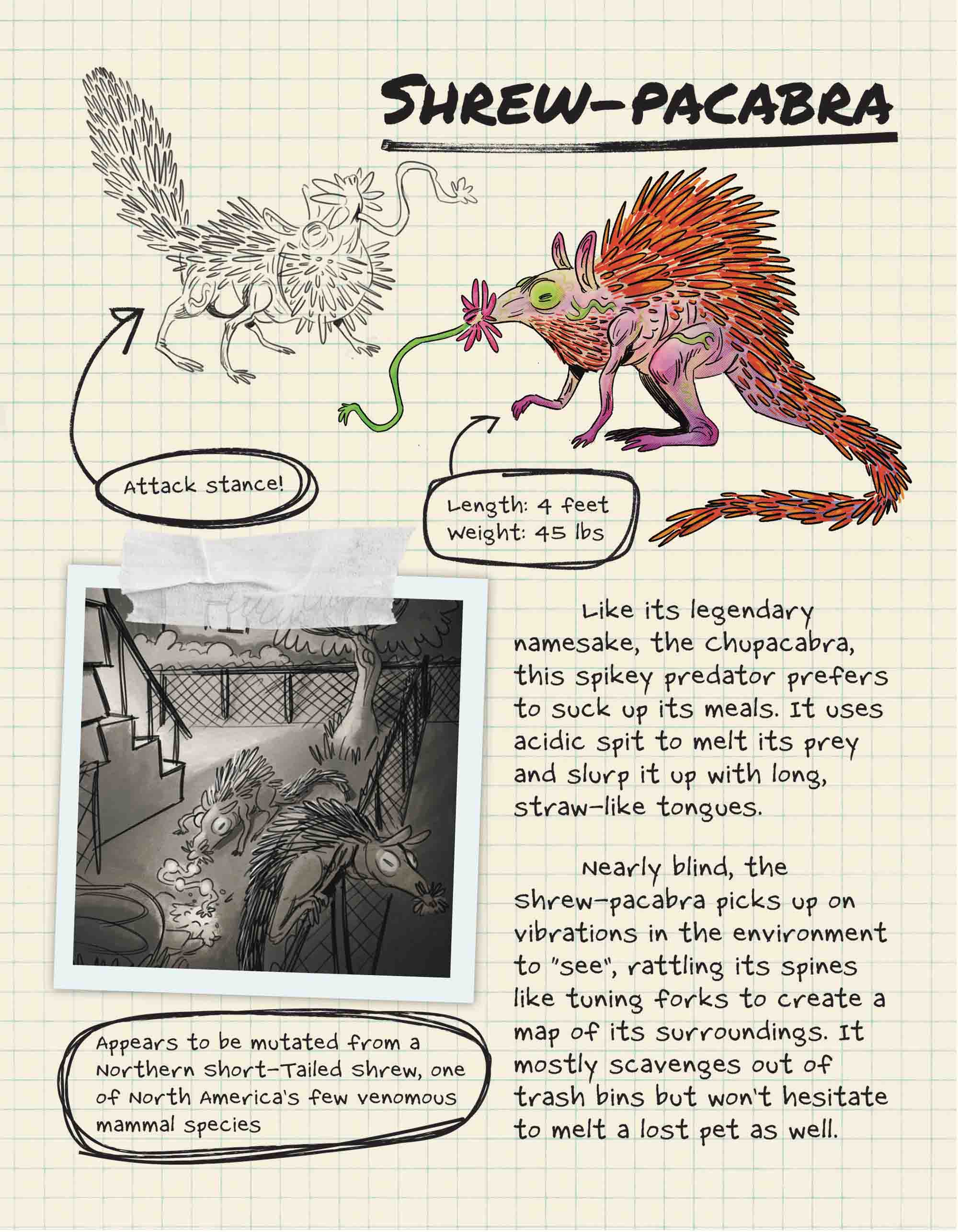 Shrew-pacabra, a spiny shrew-like predator