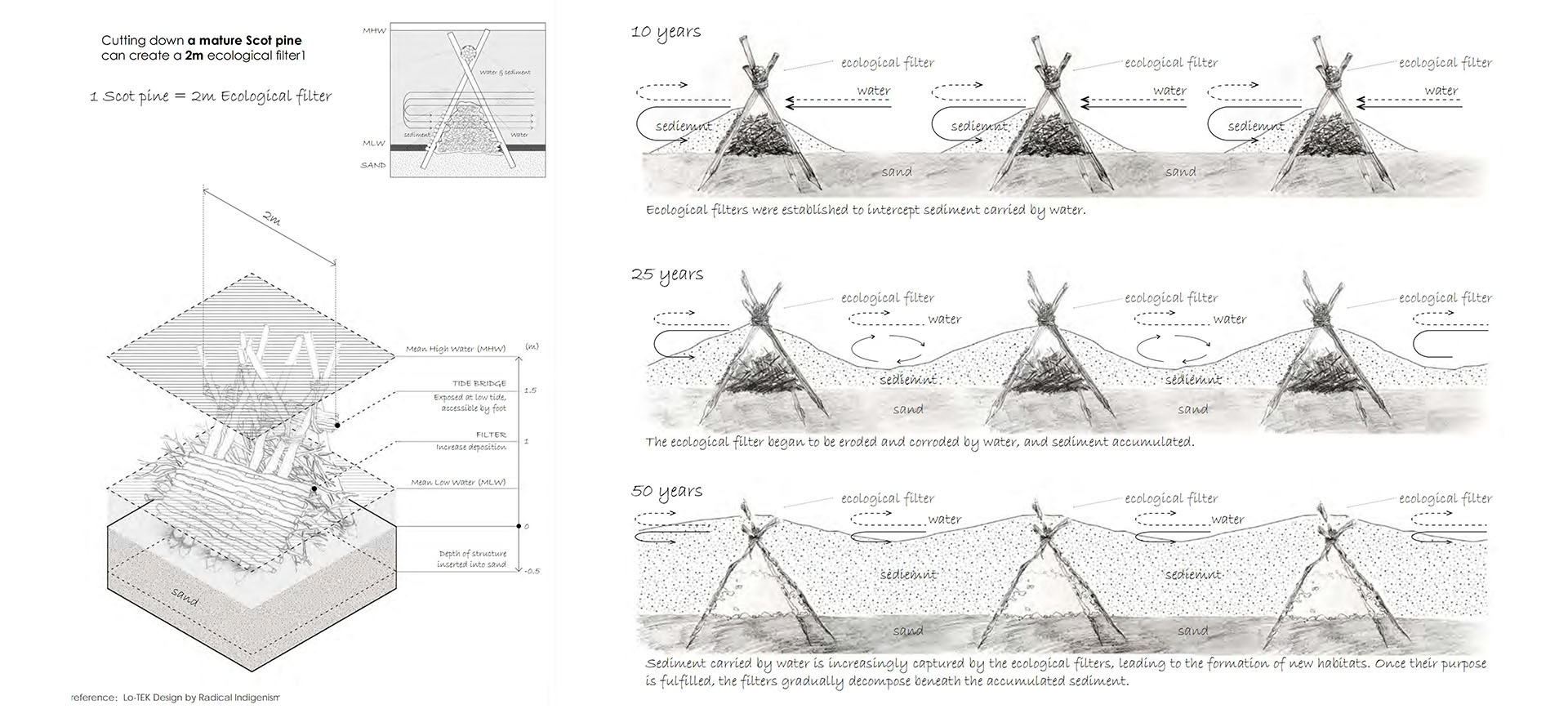 Interweaving Ecology and Phenomenology