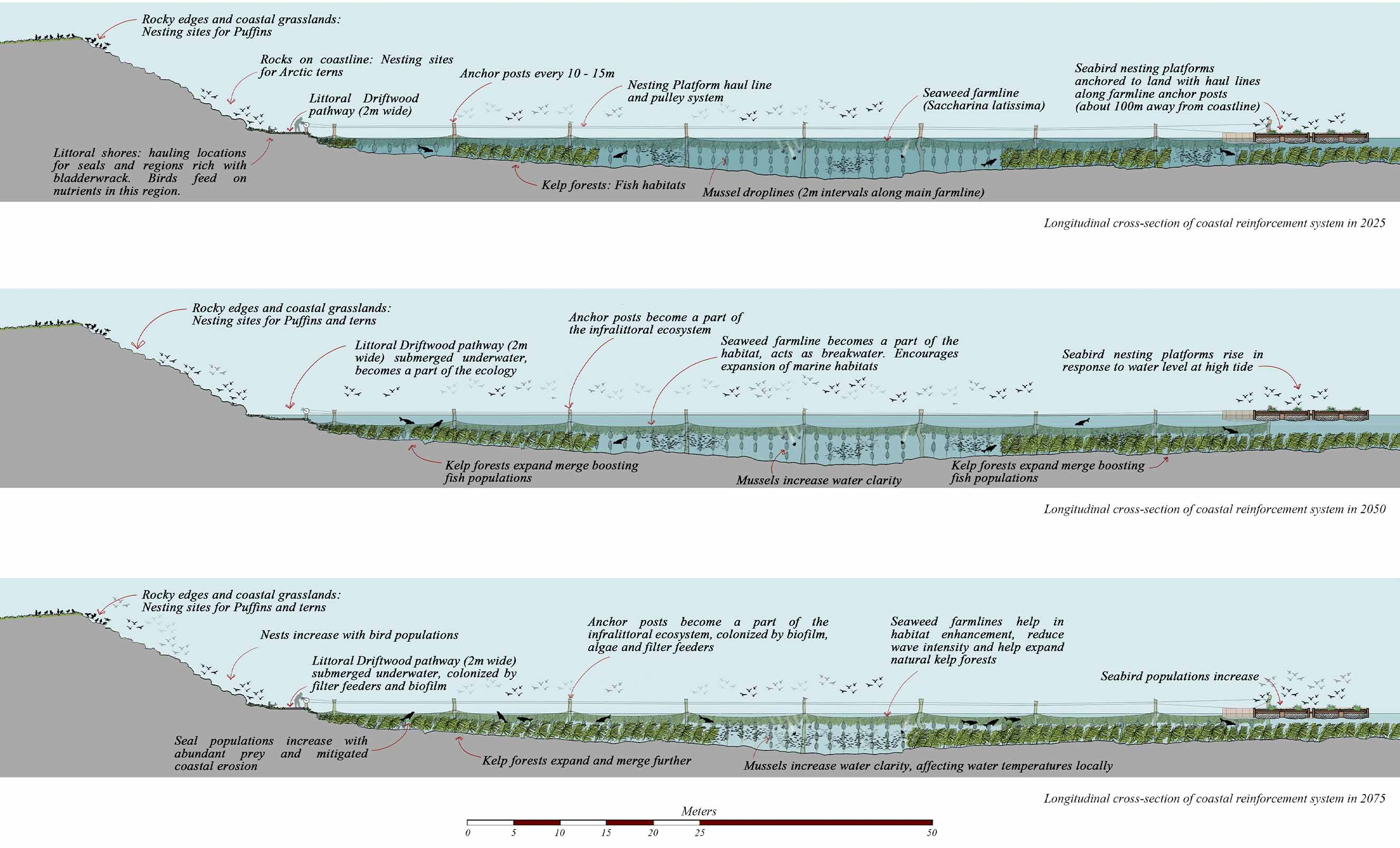 Coastal Reinforcement System in Flatey - 2025, 2050 & 2075