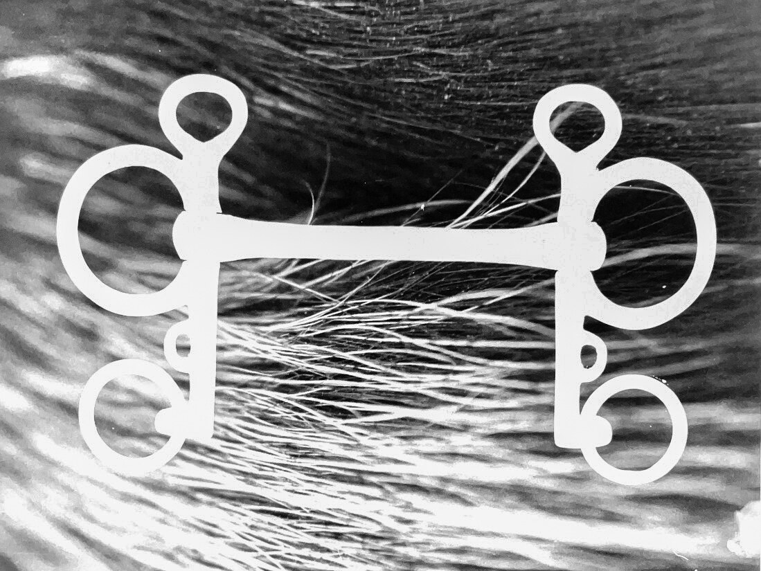 Photogram bit. 