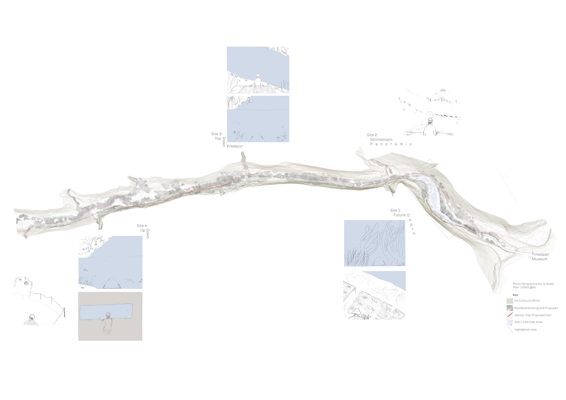 The Salmon Trail Plan