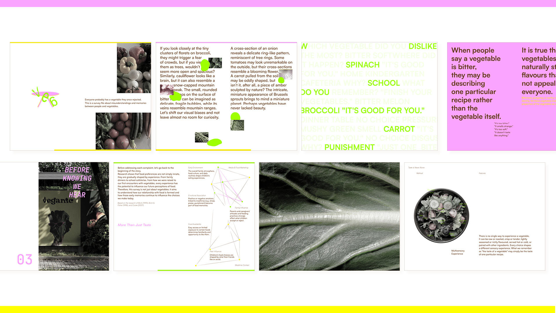 Selected spreads from the Bring Veg Back publication showing research, photography and editorial design.