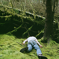 Collapse