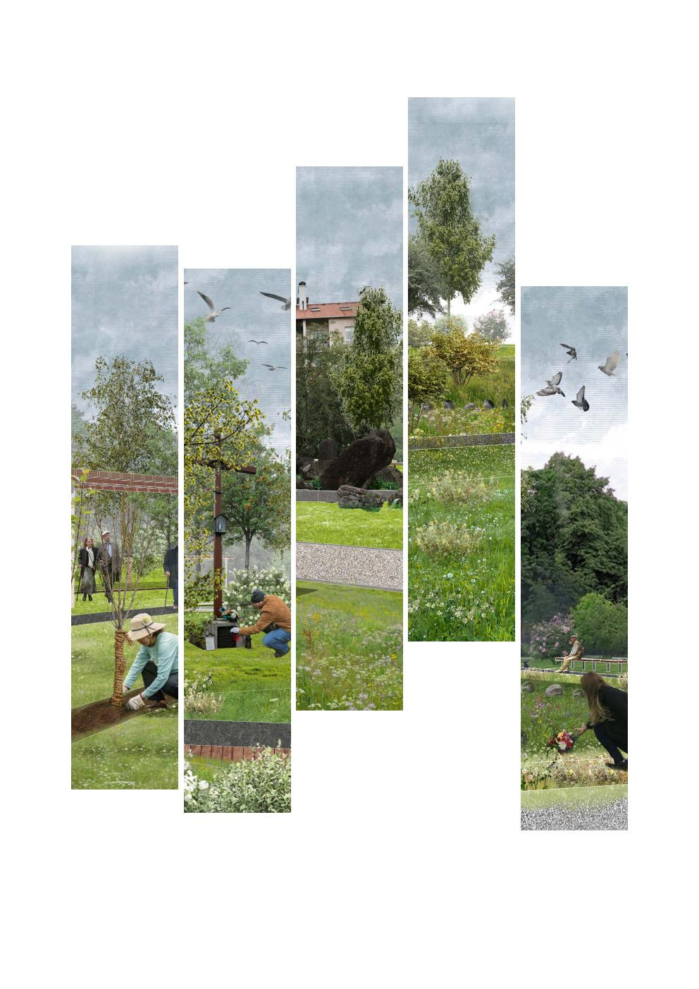 Traces of Captivity, Grounds of Renewal - Balancing Memorial Visibility and Ecological Regeneration in a  Former Camp Landscape