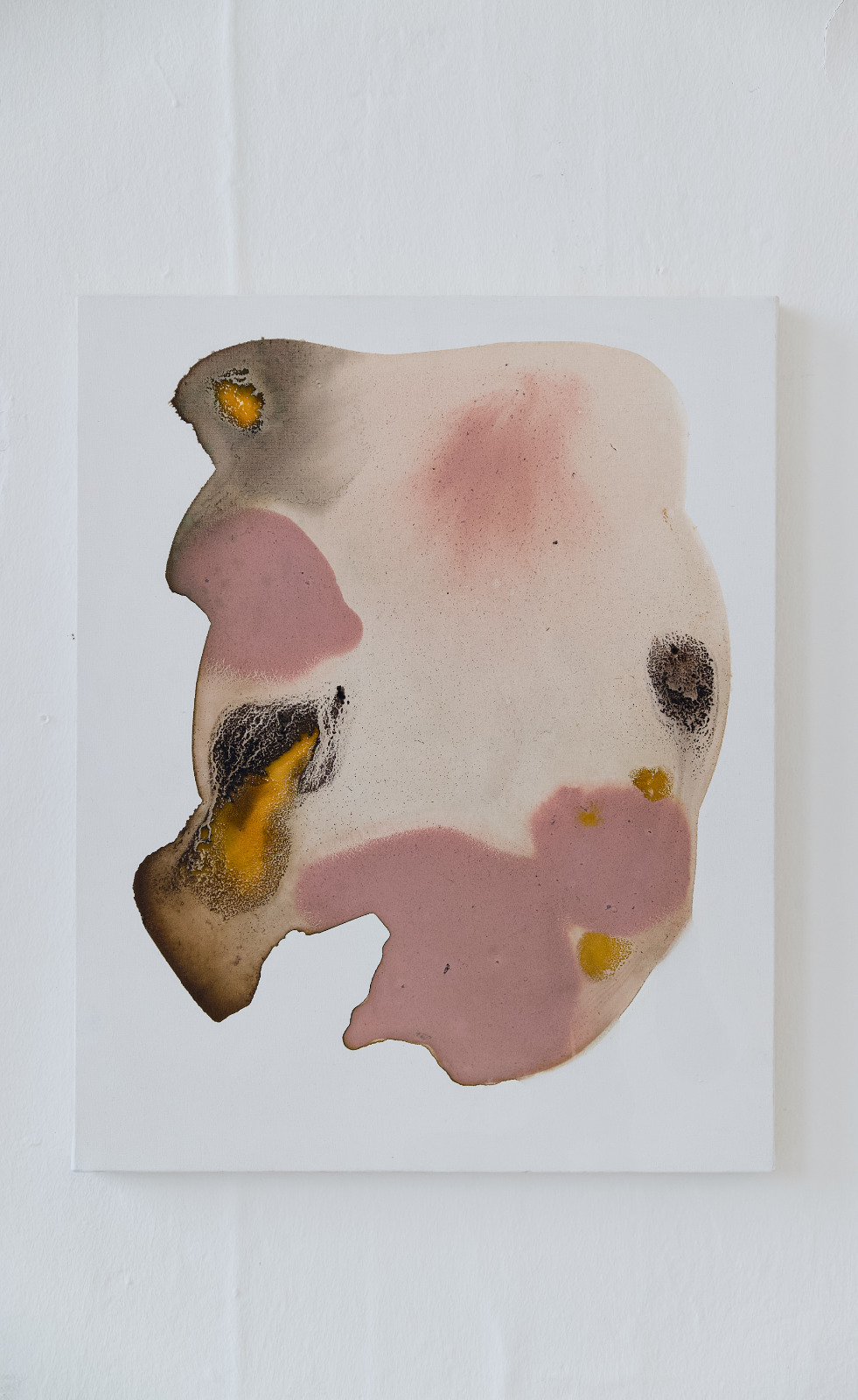 Work on canvas measuring 40 × 50 cm, made with foraged inks. The painting shows soft, irregular stains in pale pink, beige, brown, black, and yellow on a white canvas. The forms spread and pool organically, with darker crystallised areas and blurred edges.