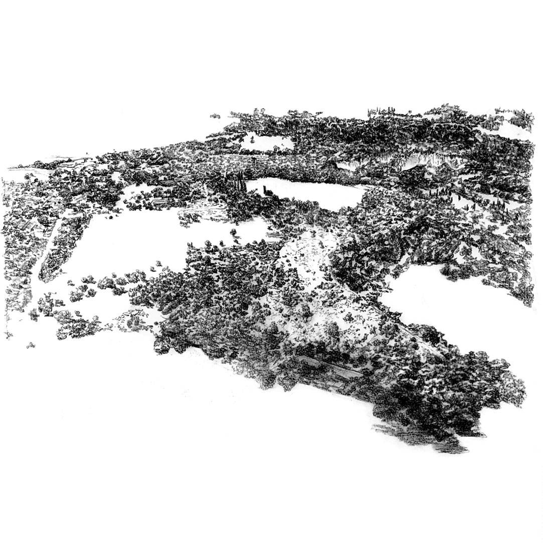Isometric charcoal landscape drawing of dense vegetation that forms the infrastructure of the site.