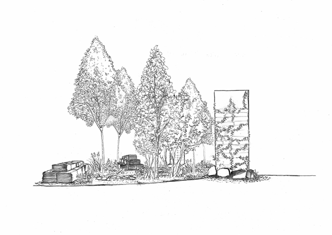 Speculative urban plants growth along with material decay