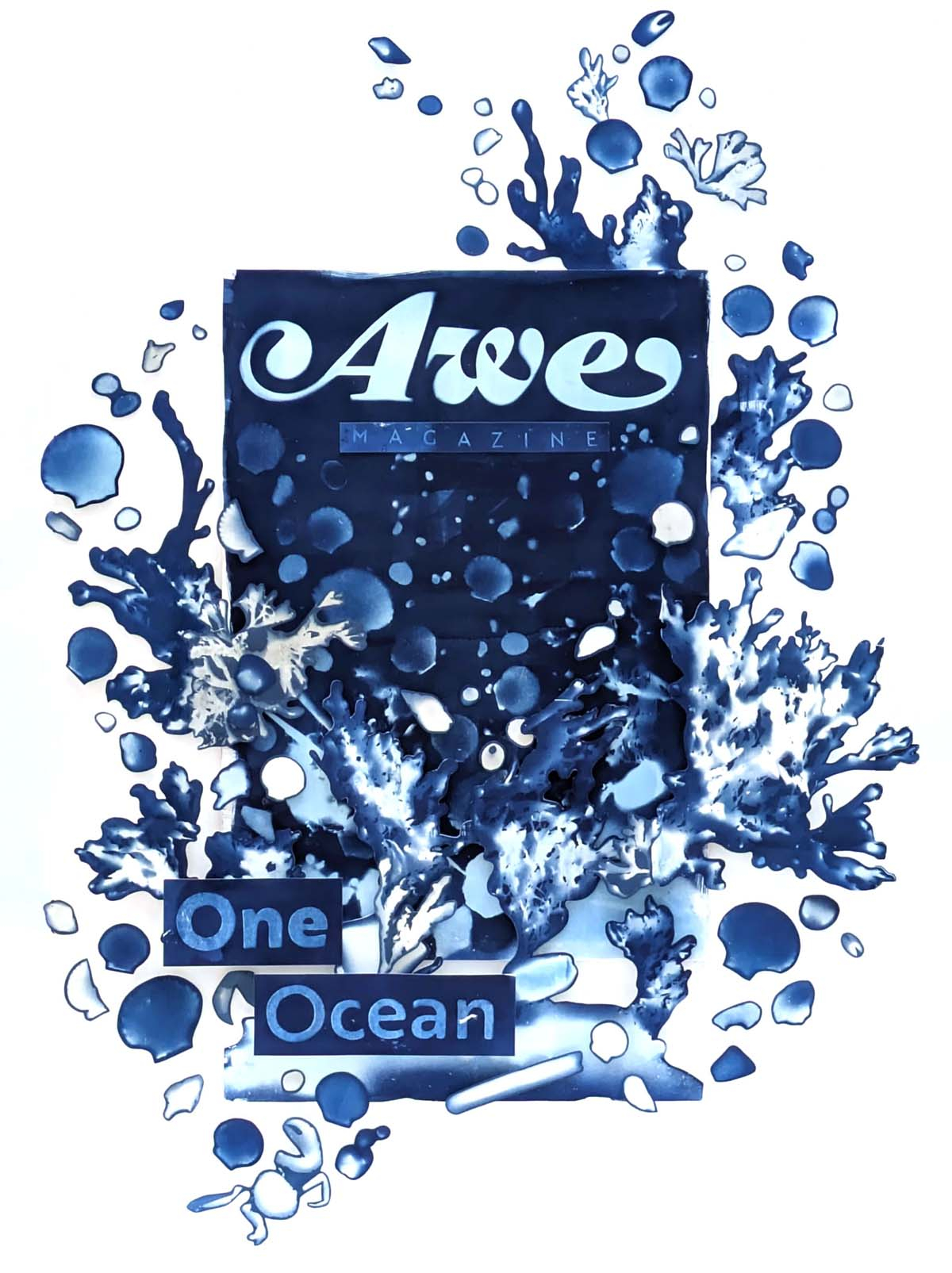 Blue and white cyanotype poster with seaweed and shell elements overlapping out of the page