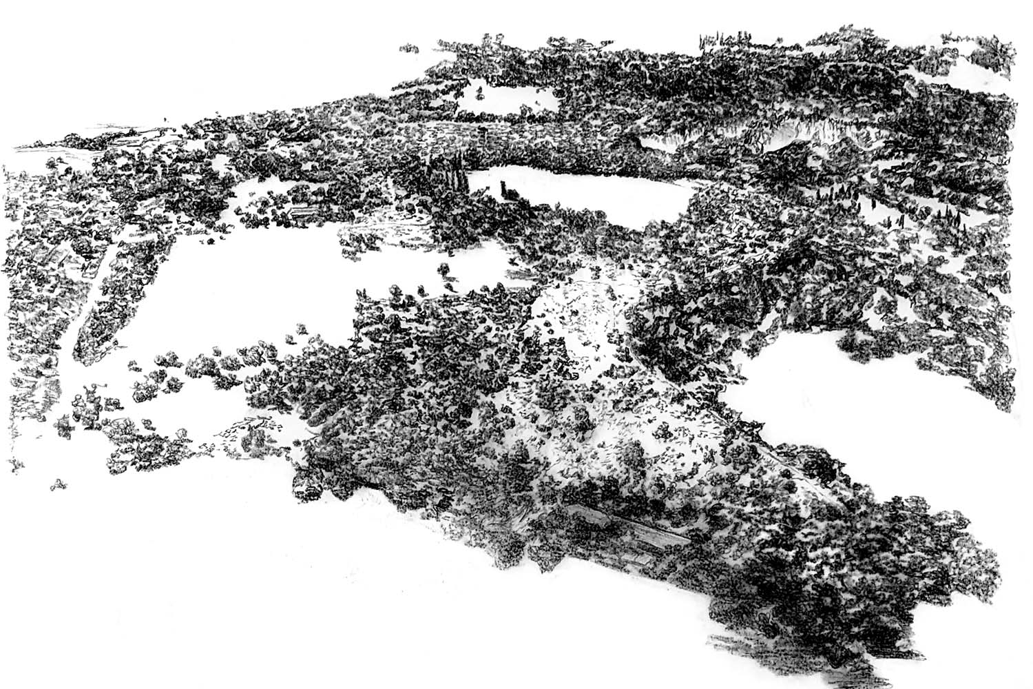 A black and white drawing of a landscape